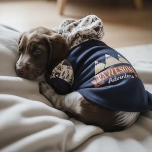 Bond & Co Dog Pawesome Adventure Hoodie Black Cream (DG2XL)